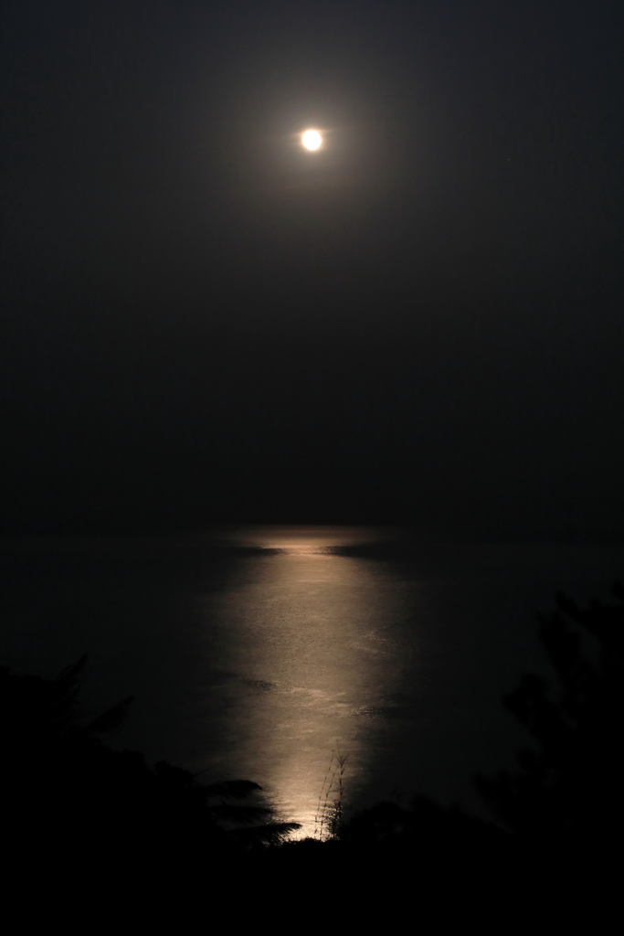 月夜　参