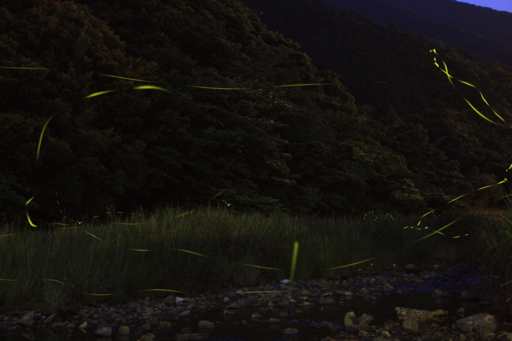 終わりかな・・・