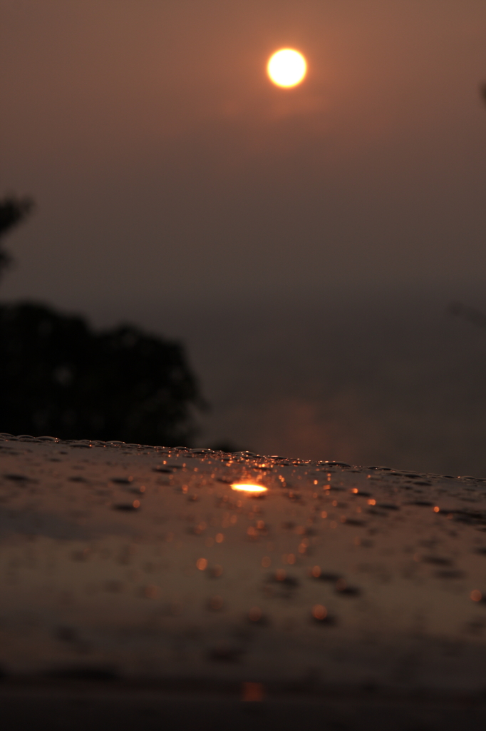 夕陽を追ってⅣ