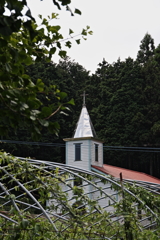 午後のひと時Ⅳ