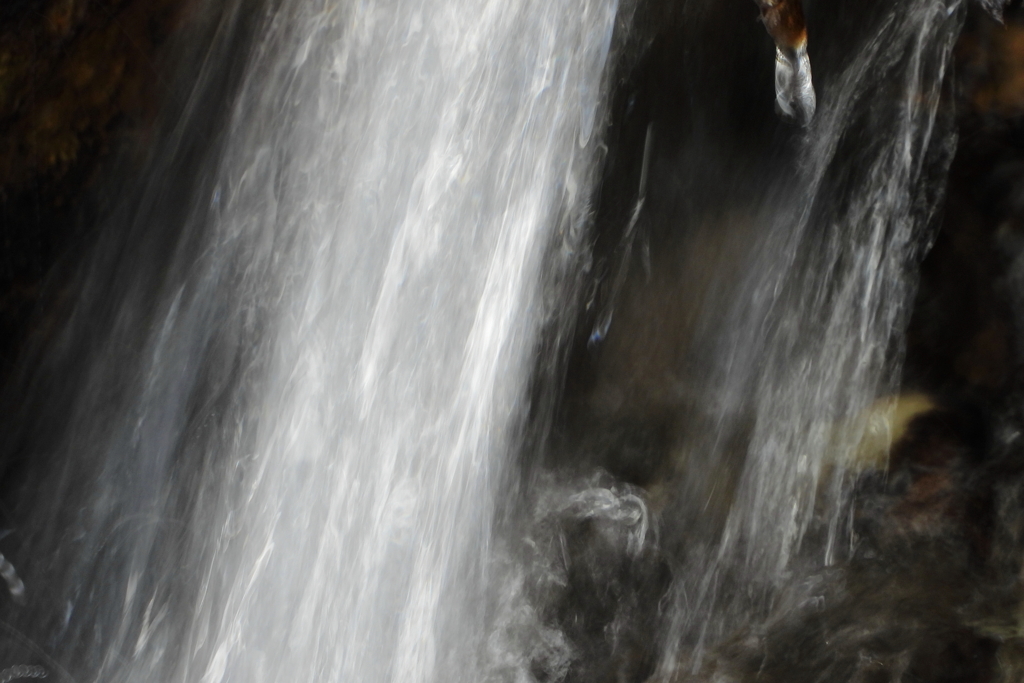 猛暑に涼あり　参