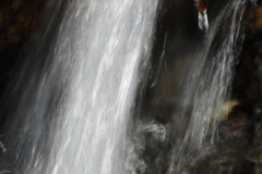 猛暑に涼あり　参