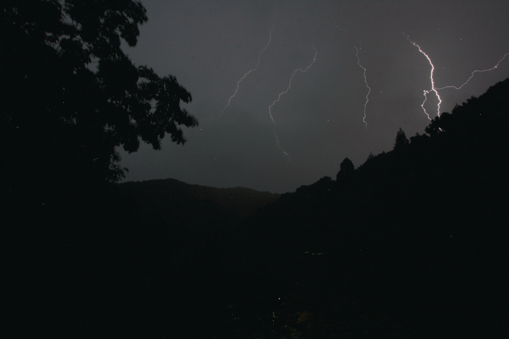 はじめての・・・