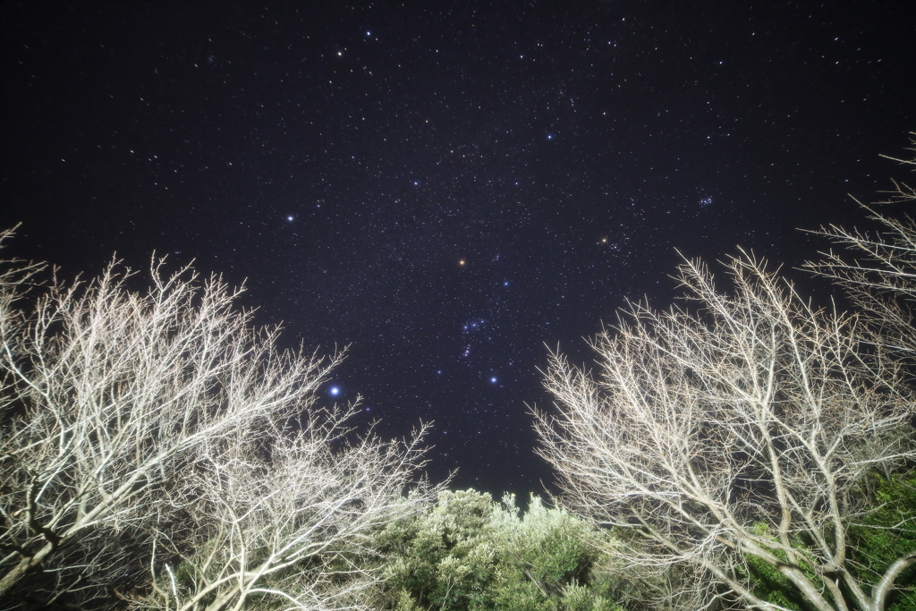 島の星空Ⅳ