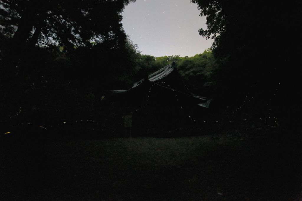 神社の境内でⅡ