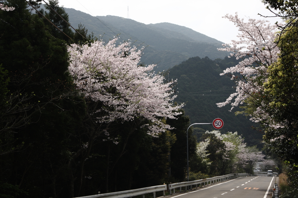 昼も綺麗ですⅡ