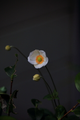 立冬の朝　弐