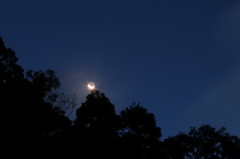 夜明け前Ⅱ