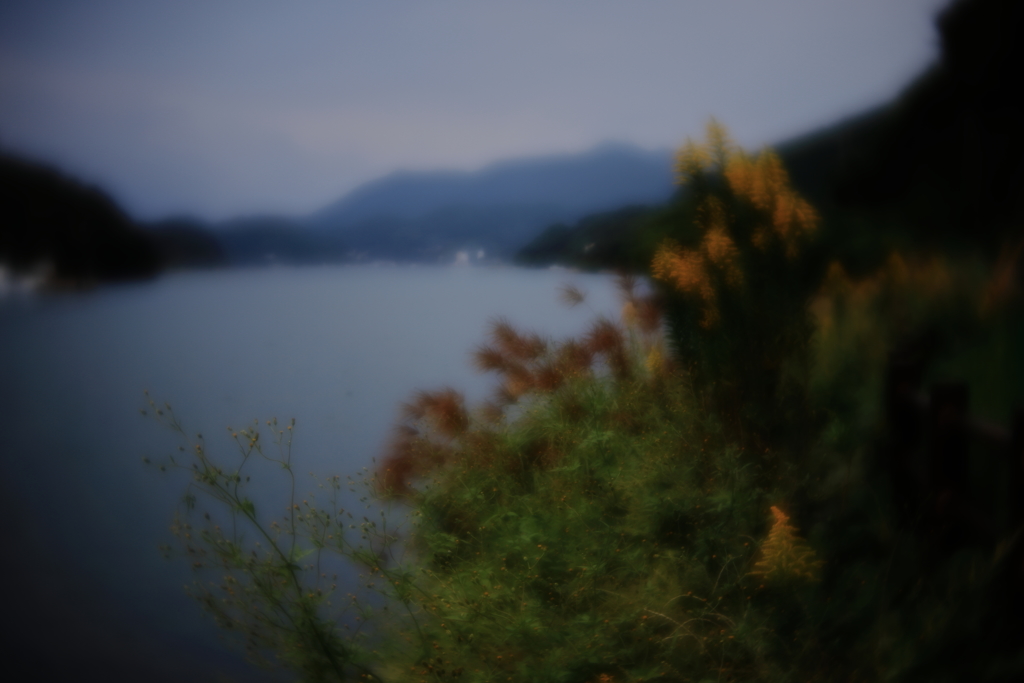 秋そよぐ　参
