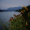 秋そよぐ　参