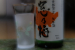 雨の降る夜の一人酒　アフター