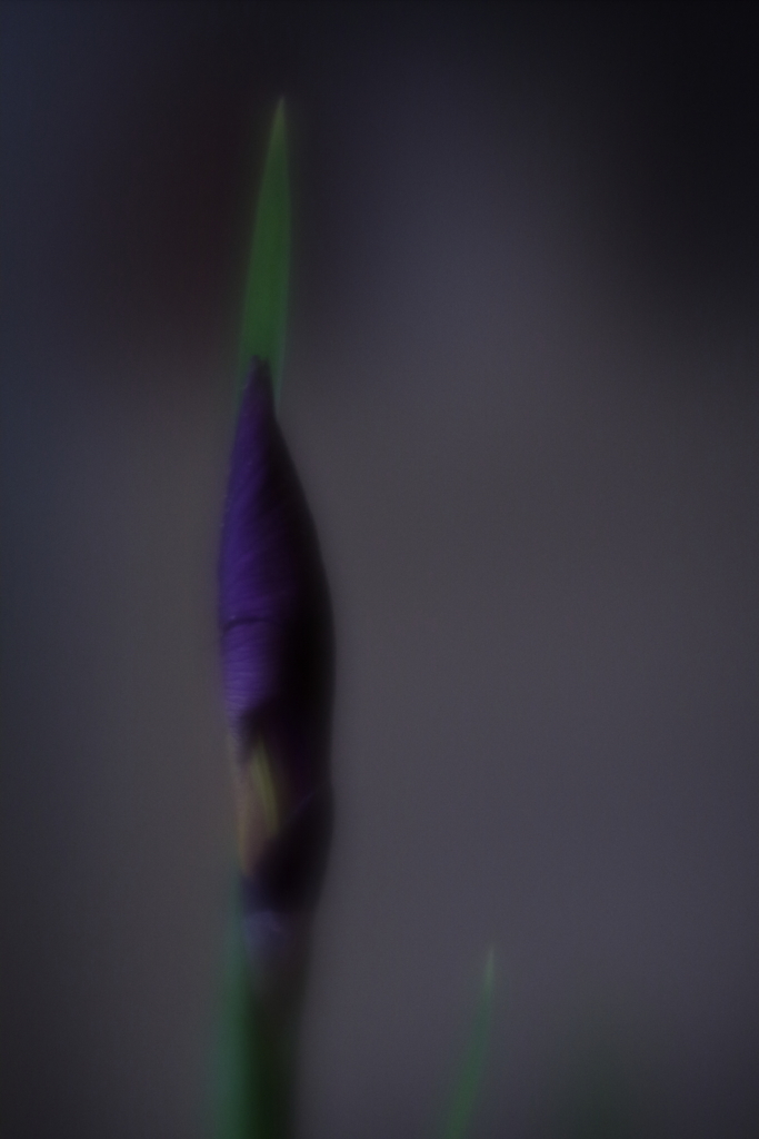 雨降る朝のホームステイ　ⅲ