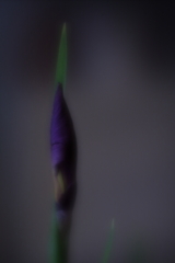 雨降る朝のホームステイ ⅲ 雨降る朝のホームステイ ⅲ