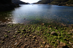 春の海Ⅱ