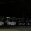 夜の憩いⅢ