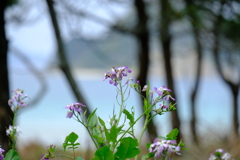 水温む　ⅰ