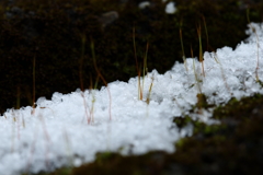 雪に萌えるⅢ