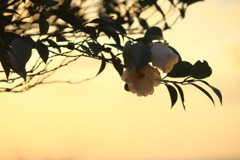 日の出の後に　ⅱ