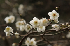 春はすぐそこにⅡ