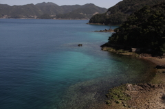 島の春