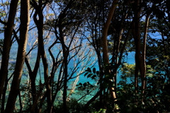 水ぬるむ　ⅳ