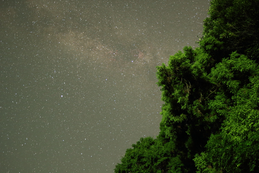 久しぶりのお星さまⅡ