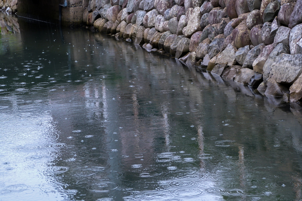 あら　雨がⅡ