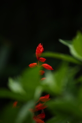 帰って来た梅雨空Ⅲ