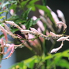 雨の一日　ⅰ