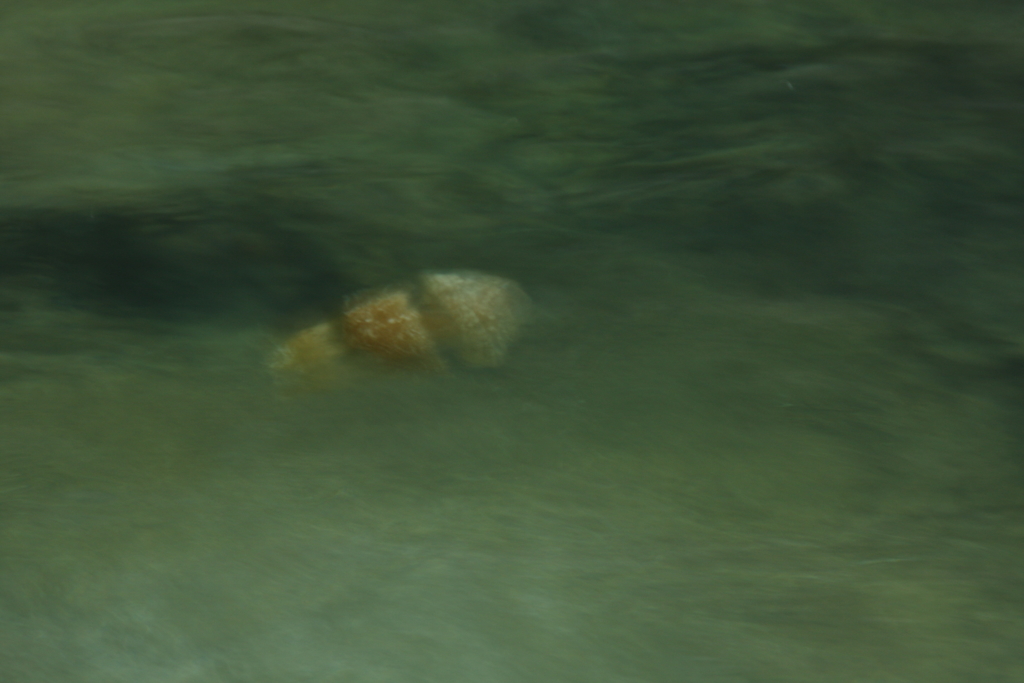 ゆらゆらゆらり