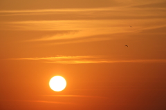 夕陽　ⅰ