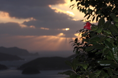 天使が降りてこないかなⅢ
