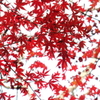 紅葉みっけ