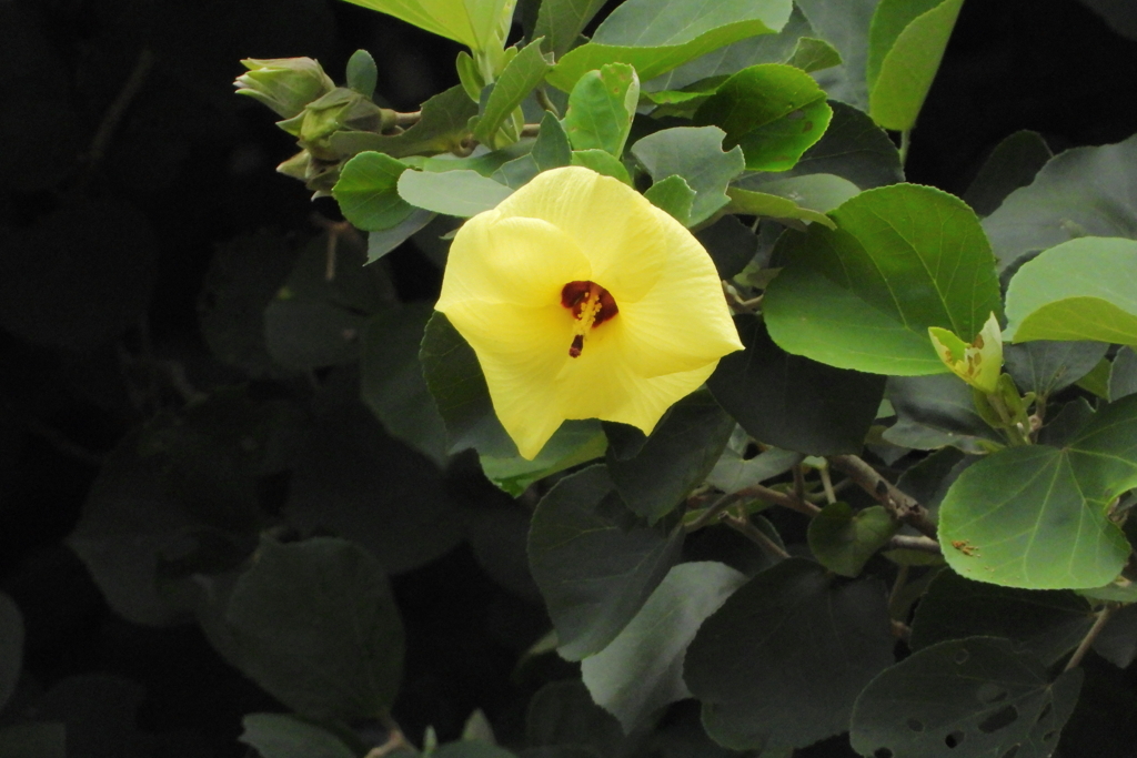 碧い鳥を待つ場所で　ⅱ