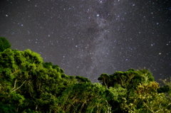 鎮守の森の天の川