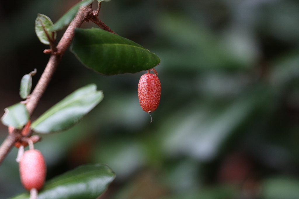 徒然なるままに　五