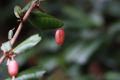 徒然なるままに　五