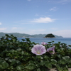 時止まる場所Ⅲ