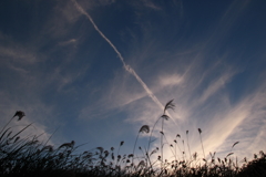 空はまだ秋Ⅱ