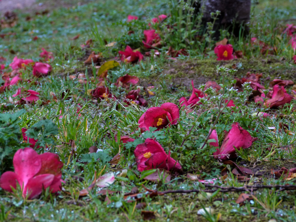 栄華の去りてⅡ