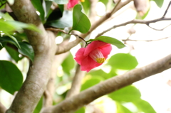 風の公園にてⅣ