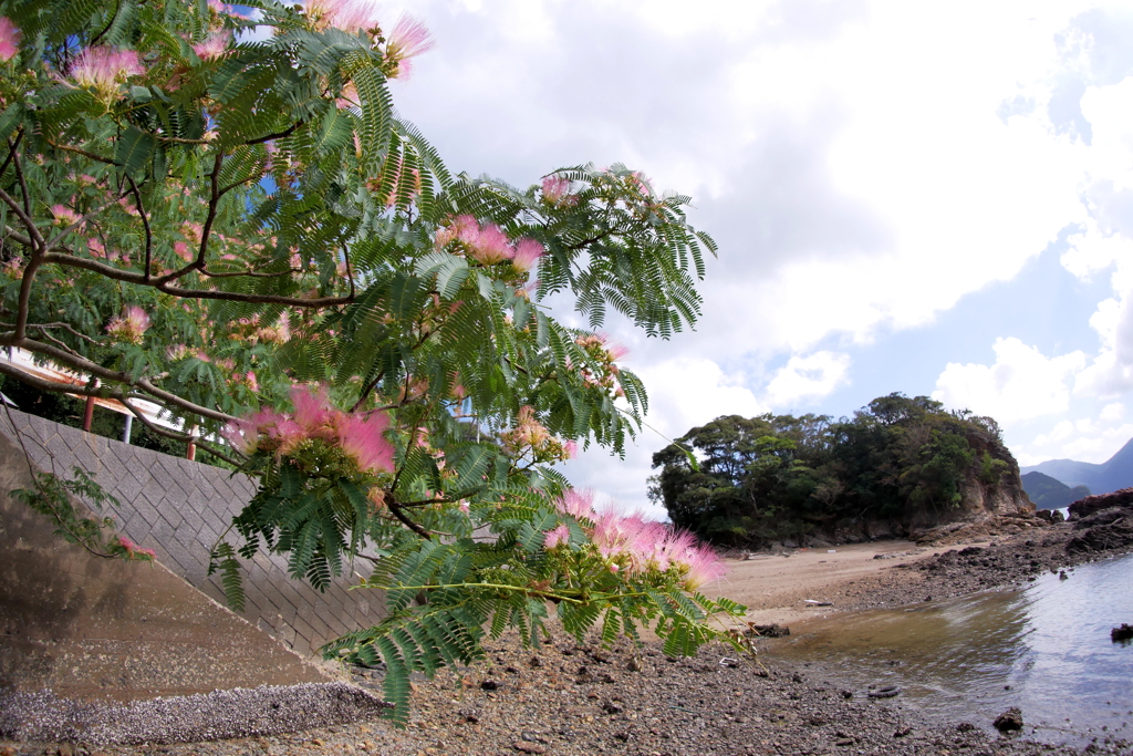 夏の戻り