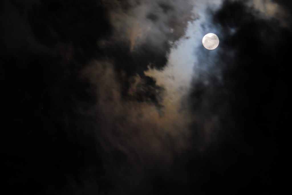 昨夜のお月様