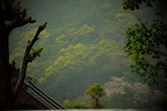 外と内　壱