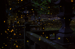 ピークを過ぎて・・・