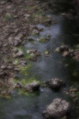 ソフトなレンズでⅡ