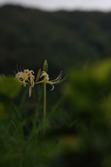 近所のモデルさん　ⅰ