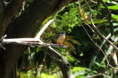 今日も会えた　ⅰ