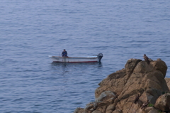 老人と鳶