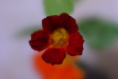 雨降る朝のホームステイ ⅰ 雨降る朝のホームステイ ⅰ